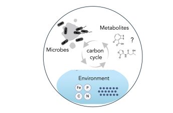 MicroChemEco Lab